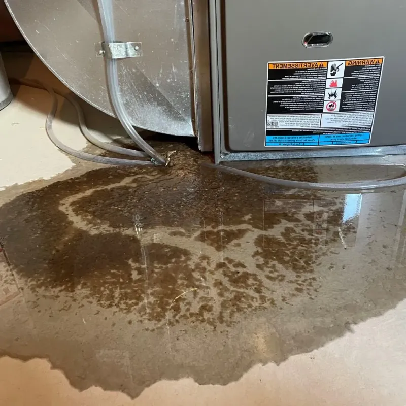 Pipe Burst and Leak Restoration in Goodings Grove, IL
