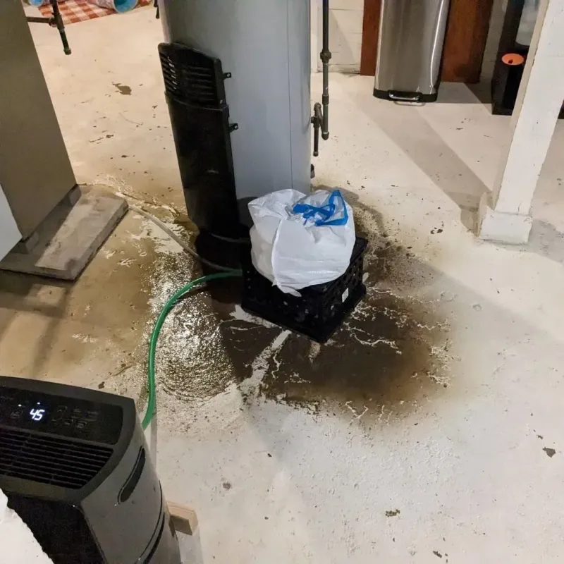Sewage Backup Cleanup Service in Goodings Grove, IL